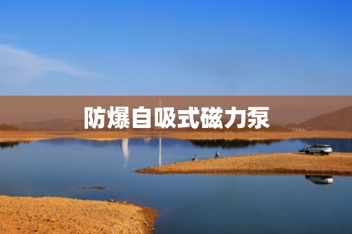 防爆自吸式磁力泵