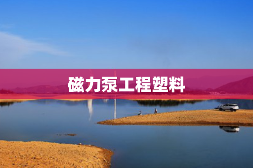 磁力泵工程塑料