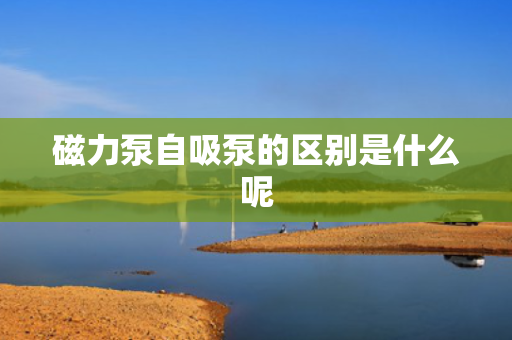 磁力泵自吸泵的区别是什么呢 磁力泵自吸泵的区别是什么呢