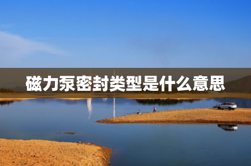 磁力泵密封类型是什么意思