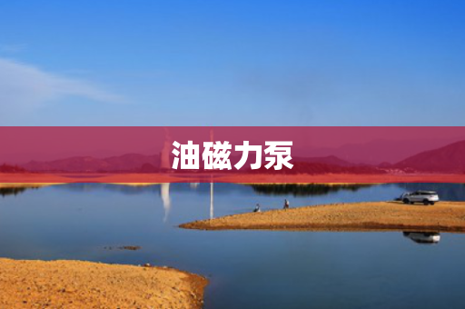 油磁力泵 油磁力泵