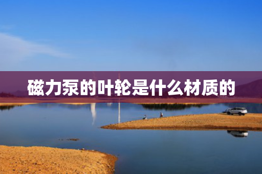 磁力泵的叶轮是什么材质的 磁力泵的叶轮是什么材质的