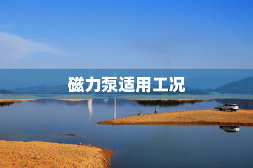 磁力泵适用工况