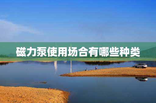 磁力泵使用场合有哪些种类 磁力泵使用场合有哪些种类