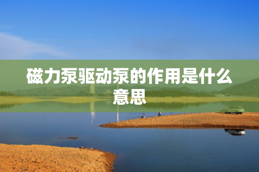 磁力泵驱动泵的作用是什么意思 磁力泵驱动泵的作用是什么意思