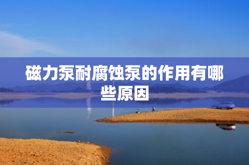 磁力泵耐腐蚀泵的作用有哪些原因