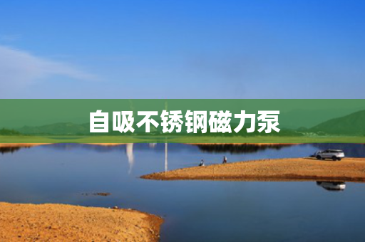 自吸不锈钢磁力泵