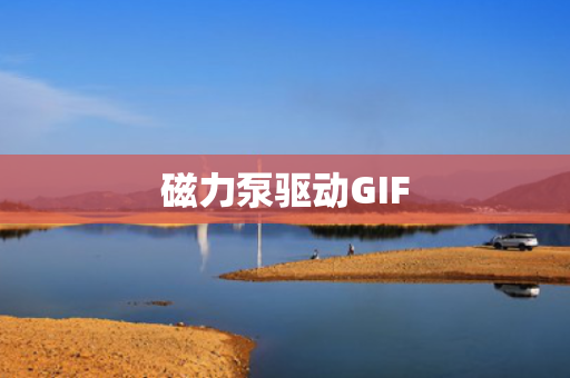 磁力泵驱动GIF
