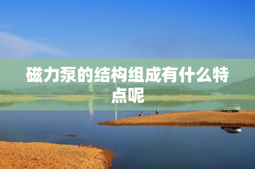 磁力泵的结构组成有什么特点呢