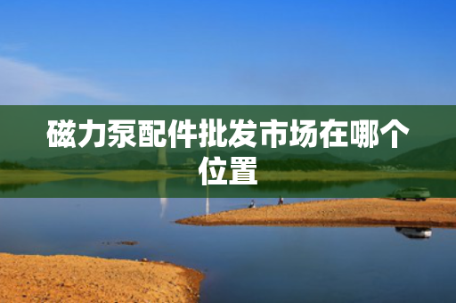 磁力泵配件批发市场在哪个位置