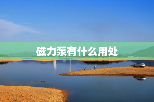 磁力泵有什么用处