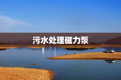 污水处理磁力泵