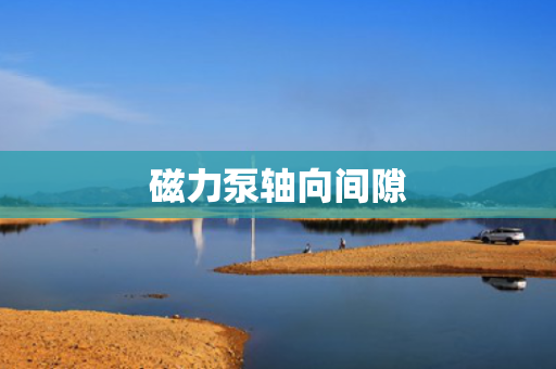 磁力泵轴向间隙