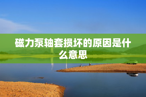 磁力泵轴套损坏的原因是什么意思