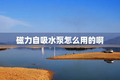 磁力自吸水泵怎么用的啊