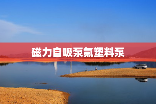 磁力自吸泵氟塑料泵 磁力自吸泵氟塑料泵