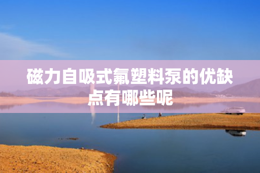 磁力自吸式氟塑料泵的优缺点有哪些呢