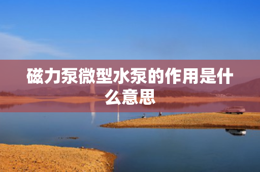 磁力泵微型水泵的作用是什么意思 磁力泵微型水泵的作用是什么意思
