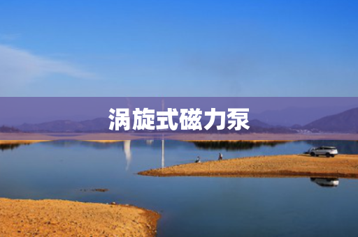 涡旋式磁力泵 涡旋式磁力泵