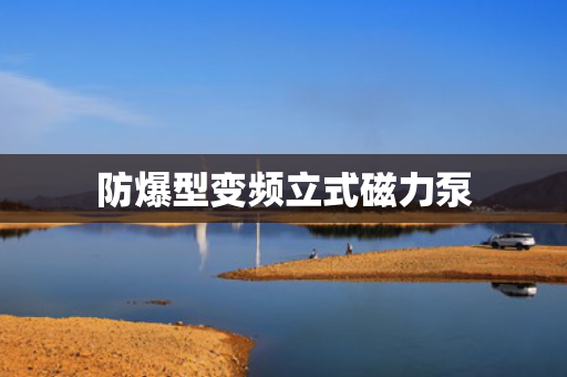 防爆型变频立式磁力泵