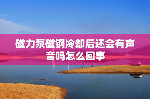 磁力泵磁钢冷却后还会有声音吗怎么回事