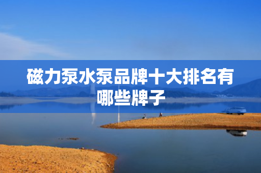 磁力泵水泵品牌十大排名有哪些牌子