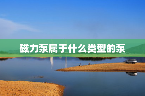 磁力泵属于什么类型的泵