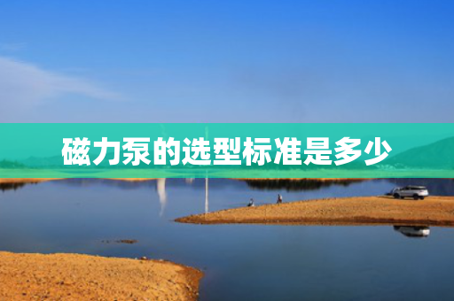 磁力泵的选型标准是多少