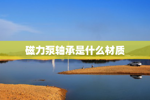 磁力泵轴承是什么材质 磁力泵轴承是什么材质