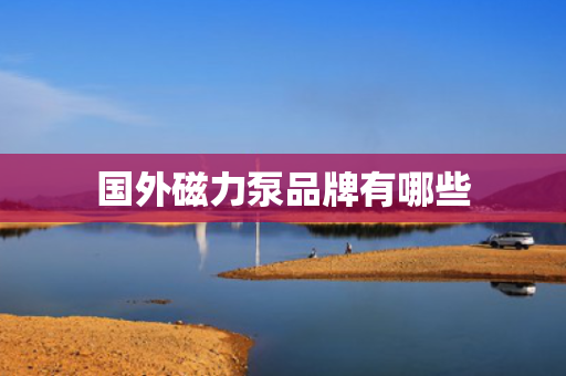 国外磁力泵品牌有哪些