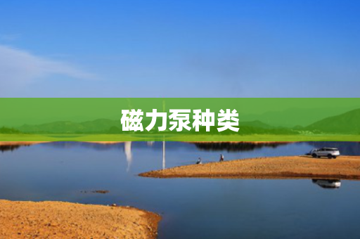 磁力泵种类 磁力泵种类