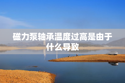 磁力泵轴承温度过高是由于什么导致