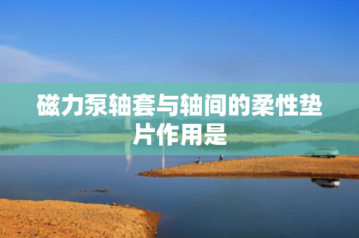 磁力泵轴套与轴间的柔性垫片作用是