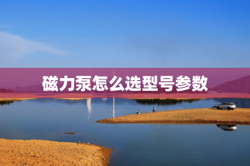 磁力泵怎么选型号参数