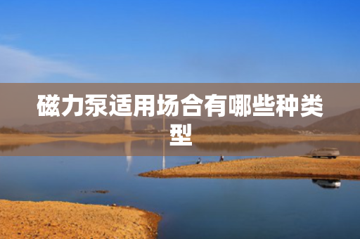 磁力泵适用场合有哪些种类型