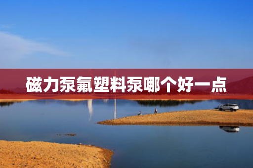 磁力泵氟塑料泵哪个好一点