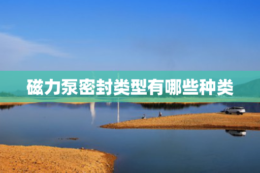 磁力泵密封类型有哪些种类