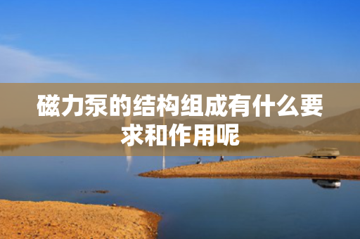 磁力泵的结构组成有什么要求和作用呢 磁力泵的结构组成有什么要求和作用呢