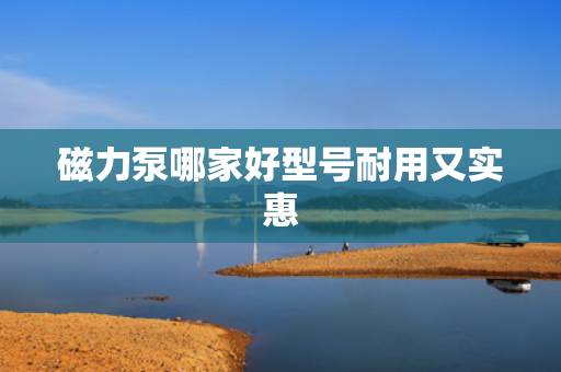 磁力泵哪家好型号耐用又实惠