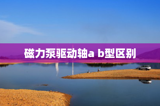 磁力泵驱动轴a b型区别