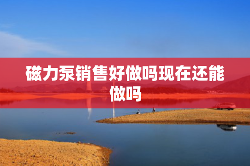 磁力泵销售好做吗现在还能做吗