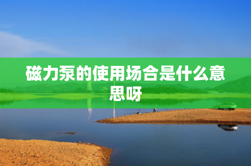 磁力泵的使用场合是什么意思呀
