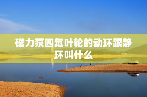 磁力泵四氟叶轮的动环跟静环叫什么