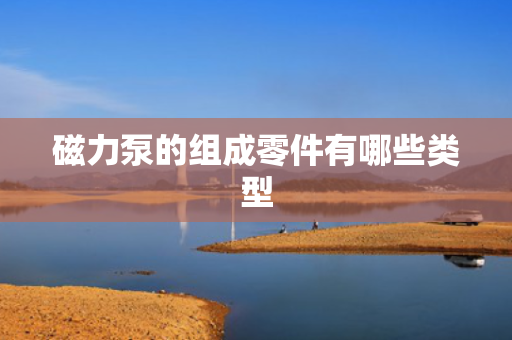 磁力泵的组成零件有哪些类型