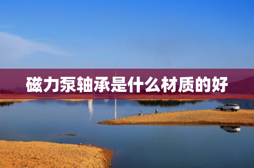 磁力泵轴承是什么材质的好