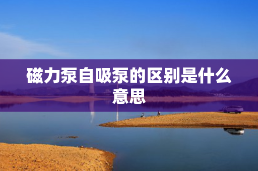 磁力泵自吸泵的区别是什么意思