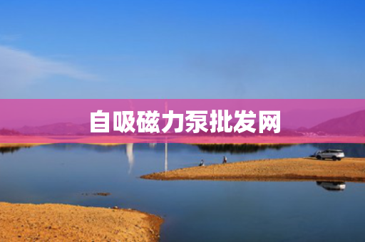 自吸磁力泵批发网