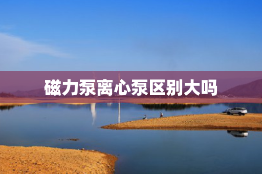 磁力泵离心泵区别大吗