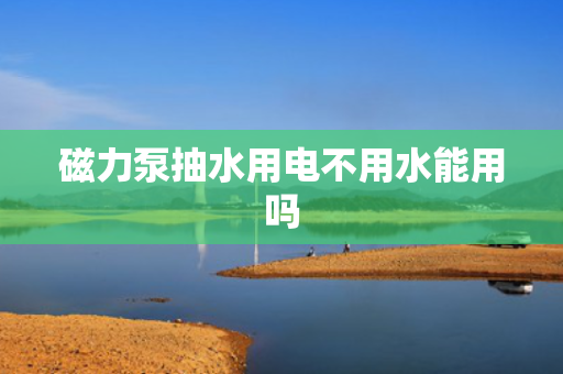 磁力泵抽水用电不用水能用吗