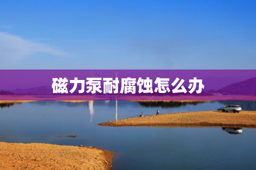 磁力泵耐腐蚀怎么办 磁力泵耐腐蚀怎么办